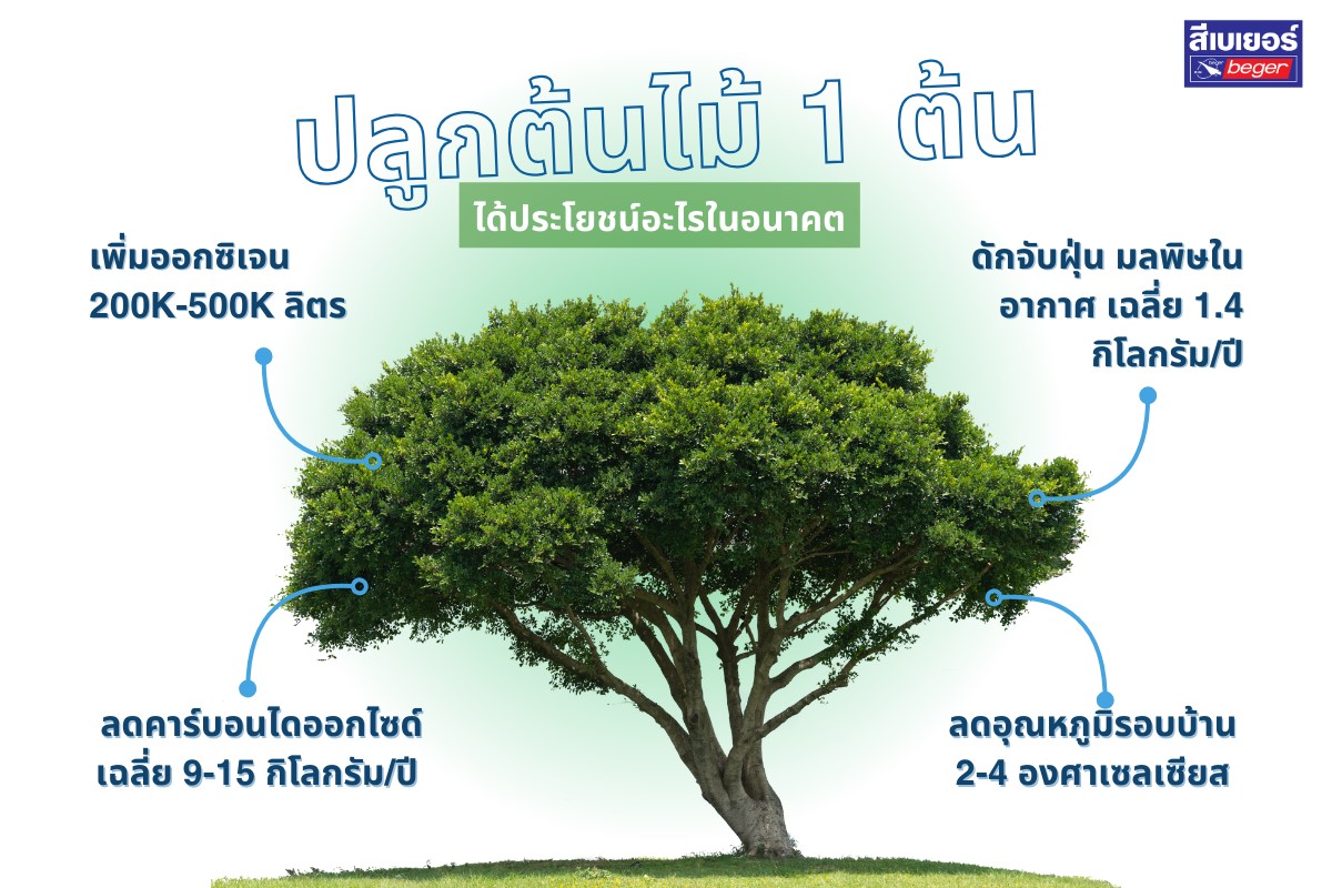 ต้นไม้ 1 ต้นช่วยอะไร