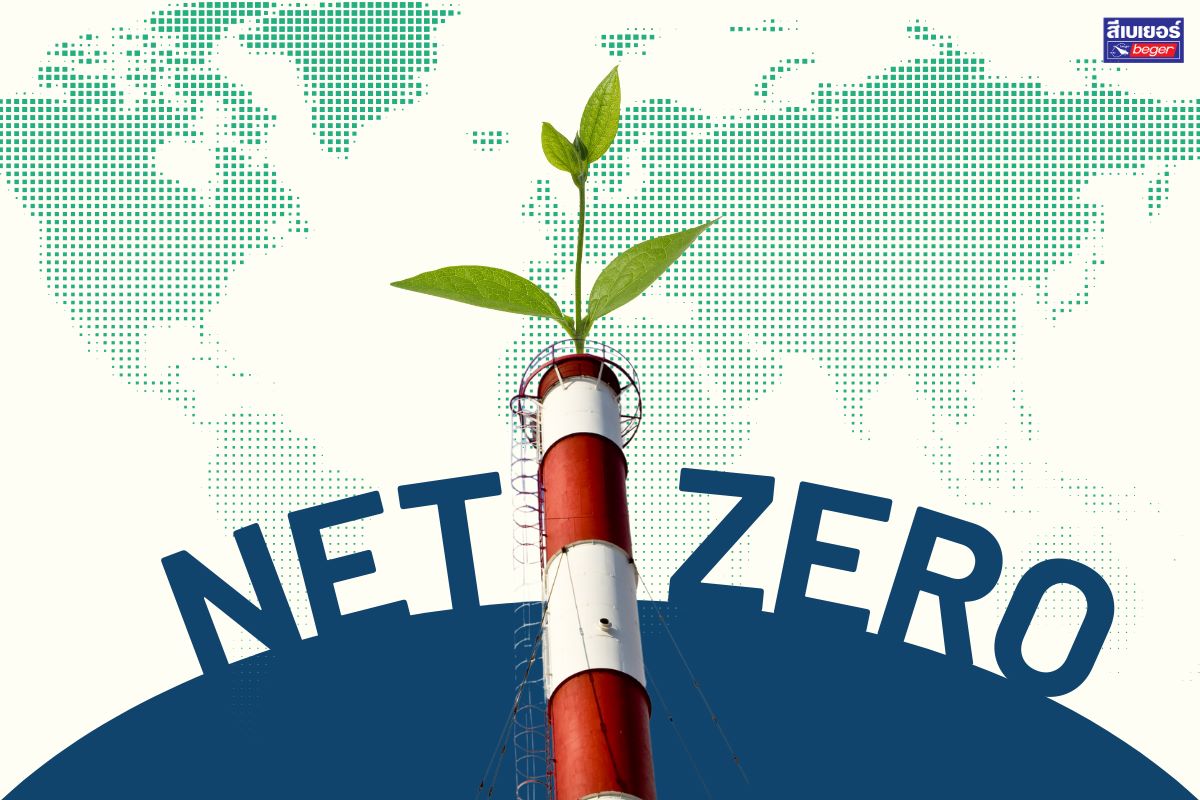 Net zero