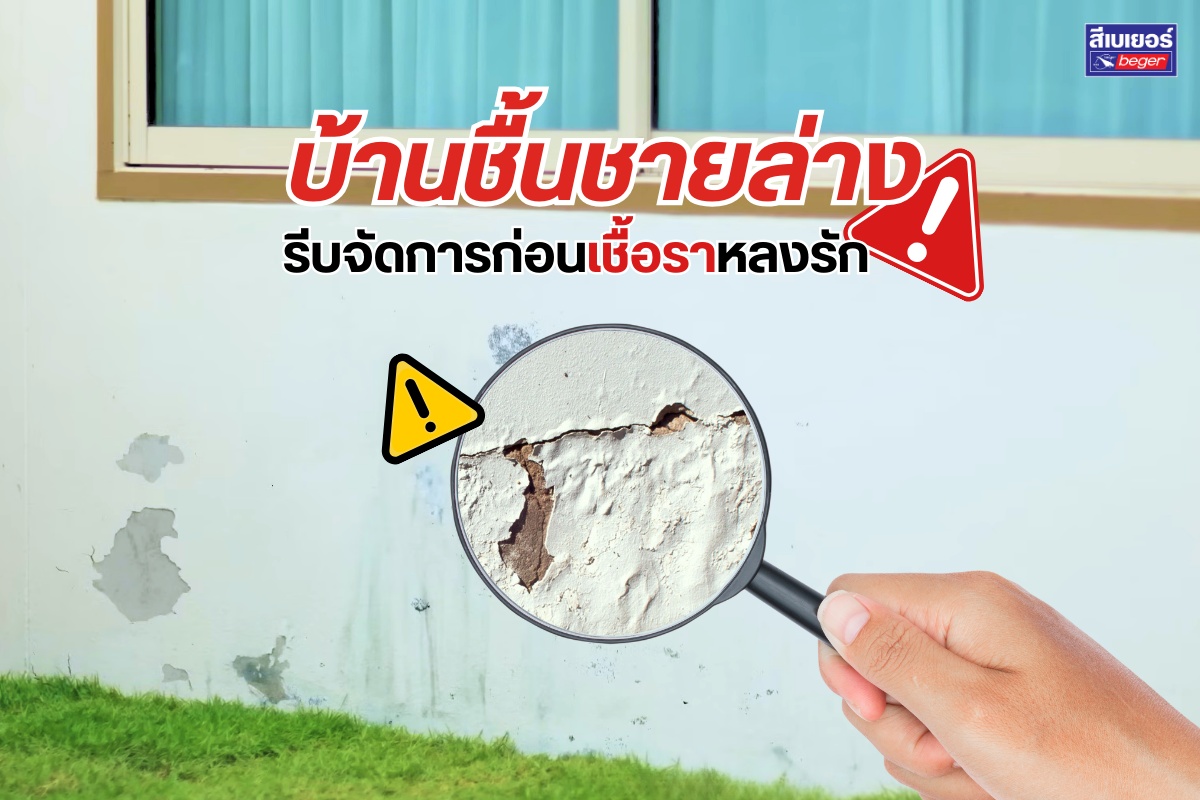 บ้านชื้นชายล่าง