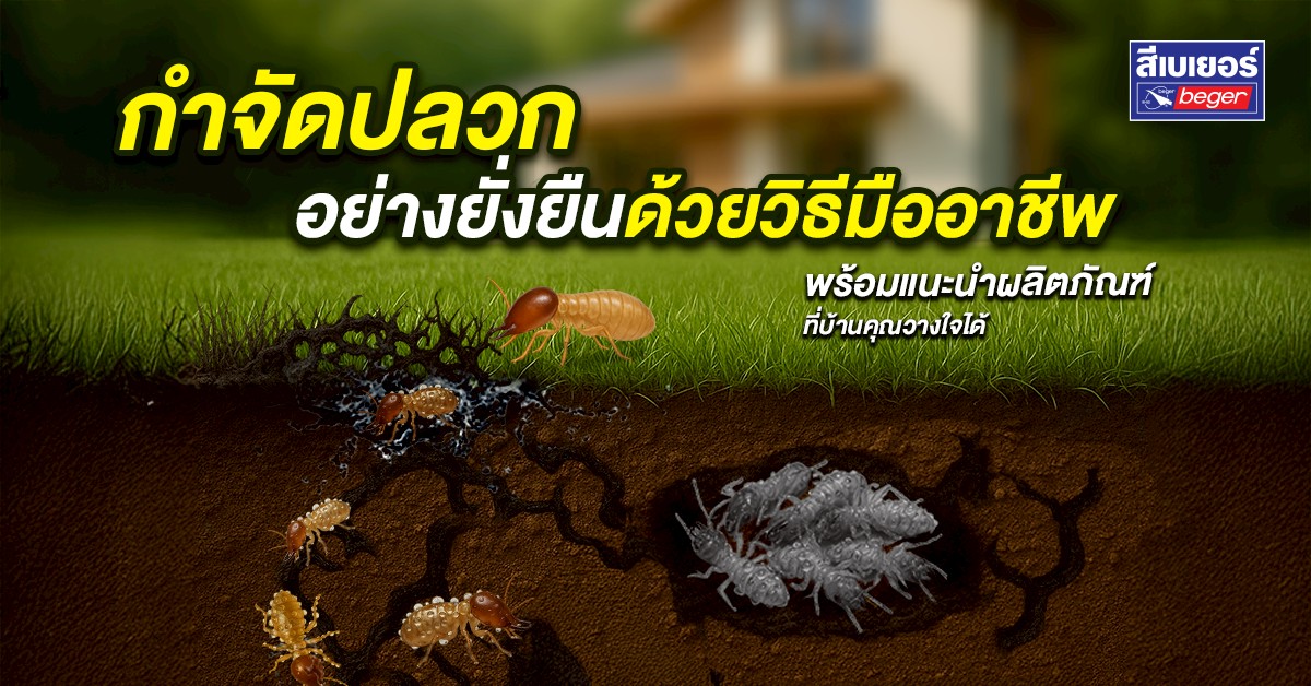 กำจัดปลวกอย่างถูกวิธี