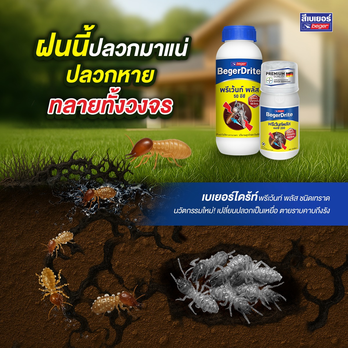 ปลวกหายทลายทั้งวงจร