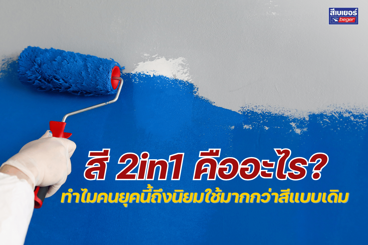 สีทาบ้าน2in1คืออะไร